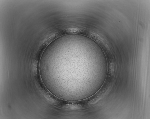 X0000110730545200906191528