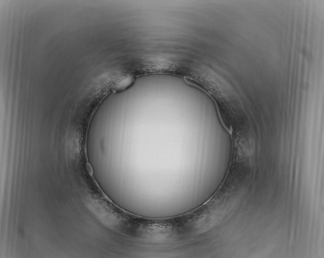 X0000110730546200906191528