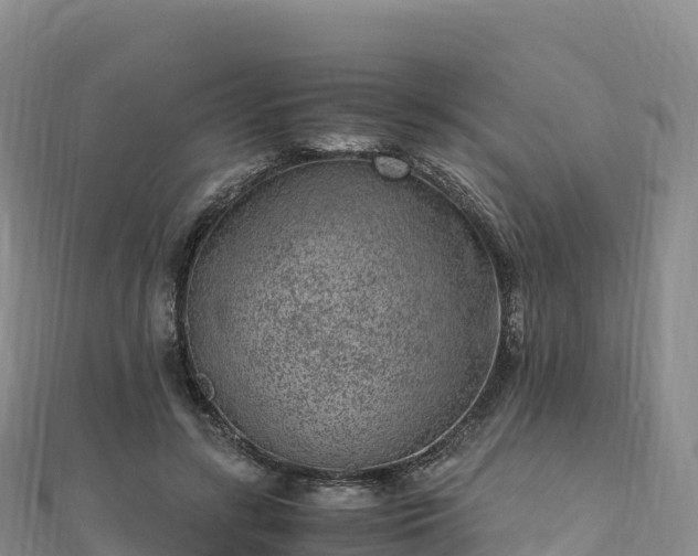 X0000110730547200906191528