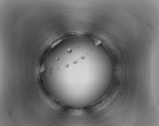 X0000110730548200906191528