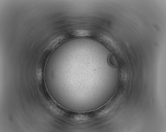 X0000110730549200906191528