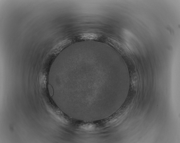 X0000110730551200906191528