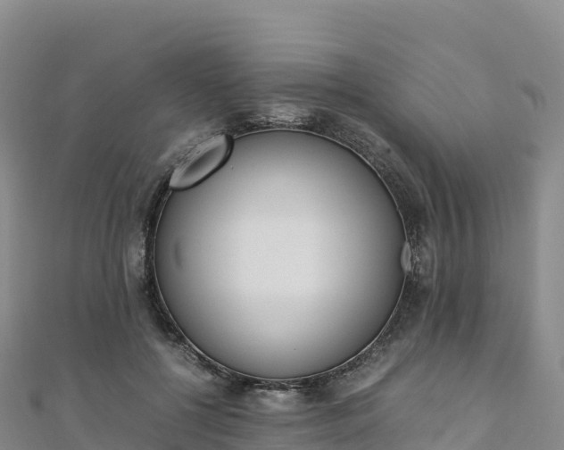 X0000110730552200906191528