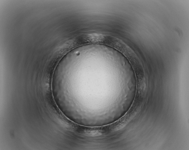 X0000110730553200906191528