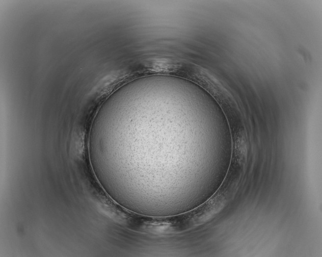 X0000110730554200906191528