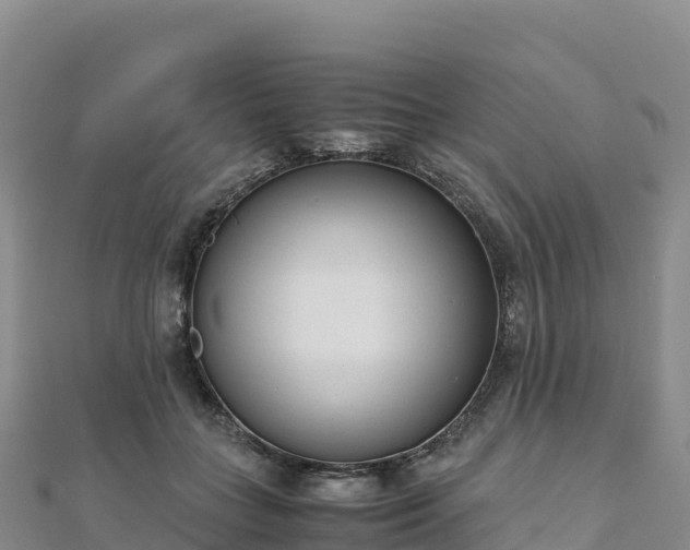 X0000110730555200906191528