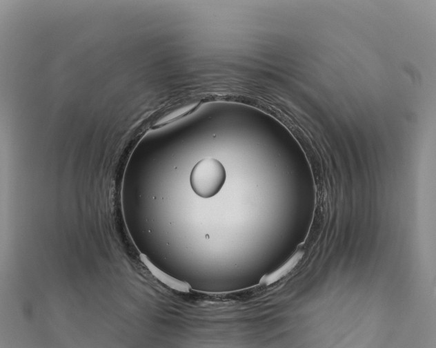 X0000110730556200906191528