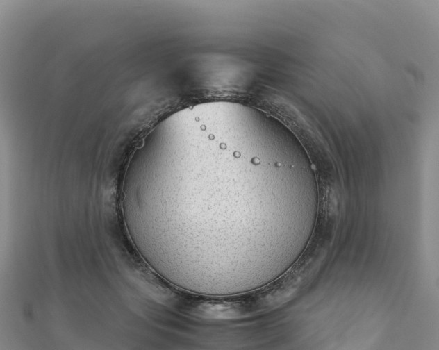 X0000110730557200906191528