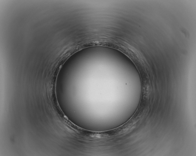 X0000110730558200906191528