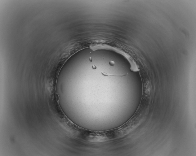 X0000110730559200906191528