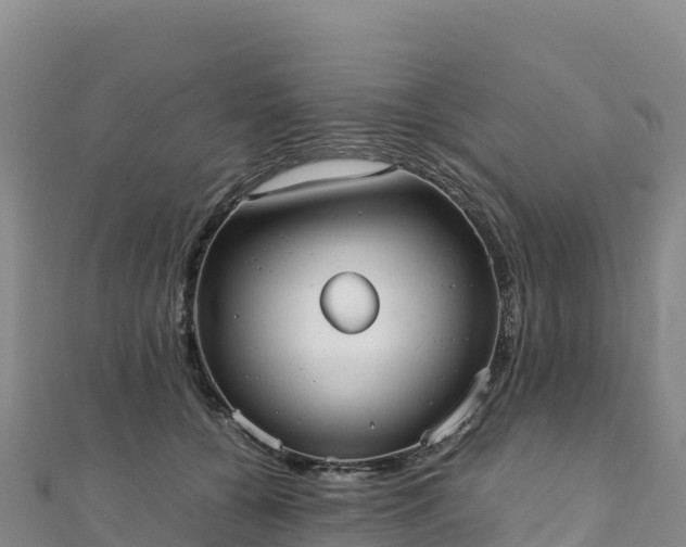 X0000110730560200906191528