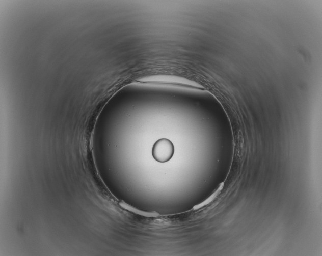 X0000110730562200906191528