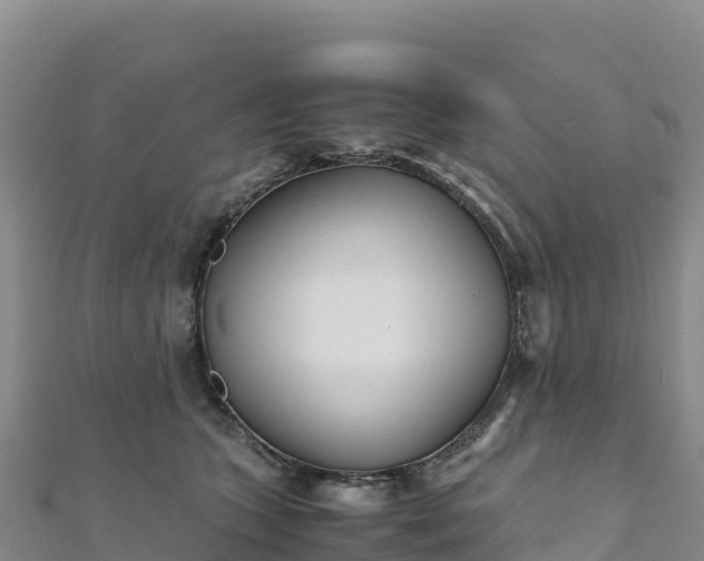 X0000110730563200906191528