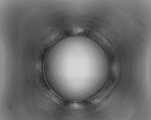 X0000110730565200906191528