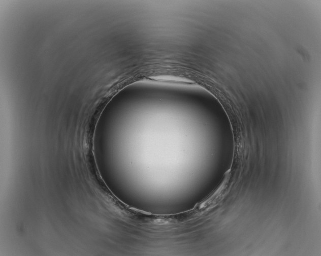 X0000110730566200906191528