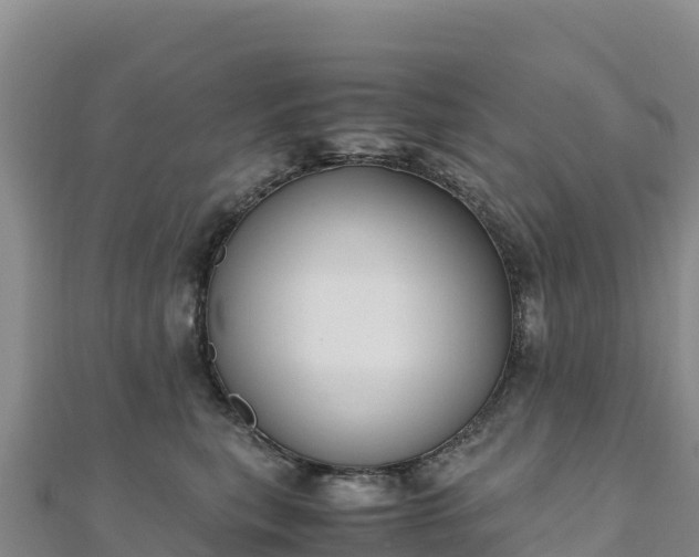 X0000110730567200906191528