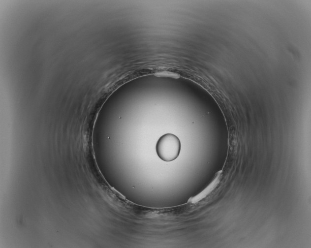 X0000110730568200906191528