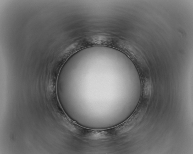 X0000110730569200906191528