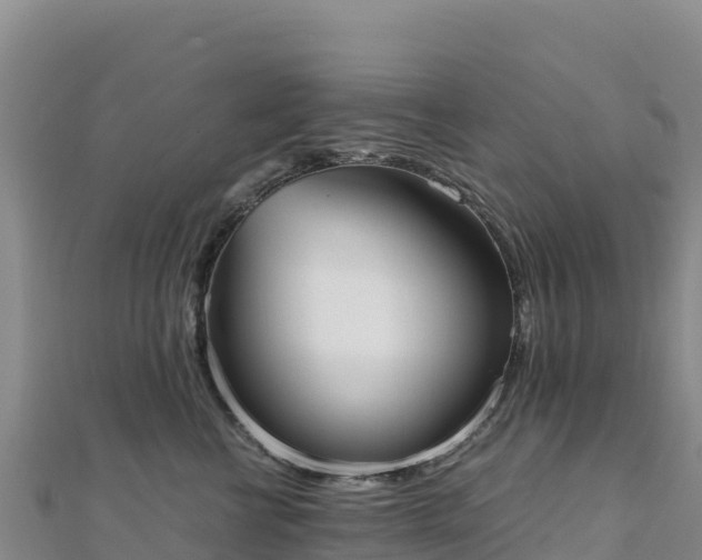 X0000110730570200906191528