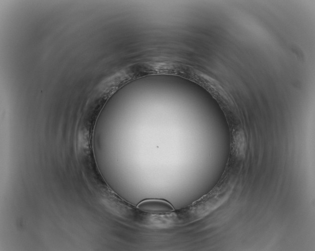 X0000110730571200906191528