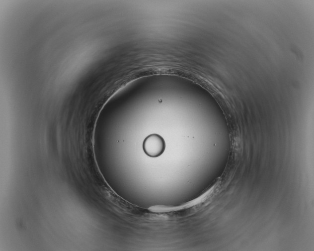 X0000110730572200906191528