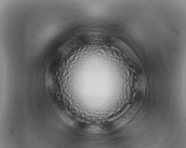 X0000110730573200906191528