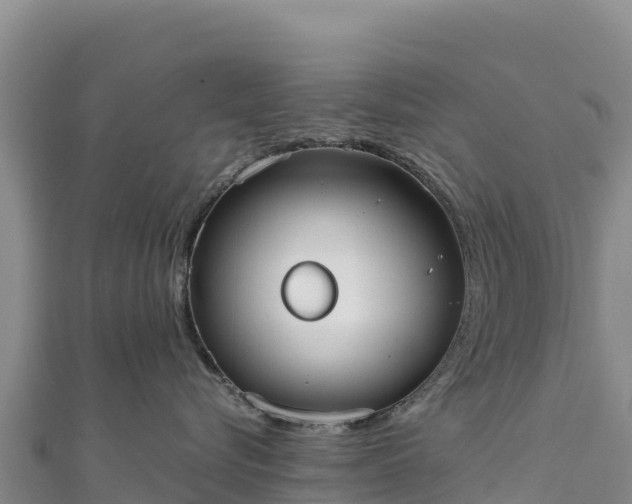 X0000110730576200906191528