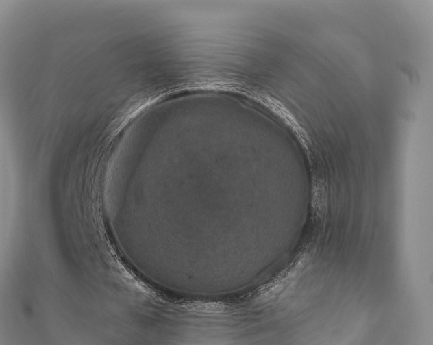 X0000110730577200906191528