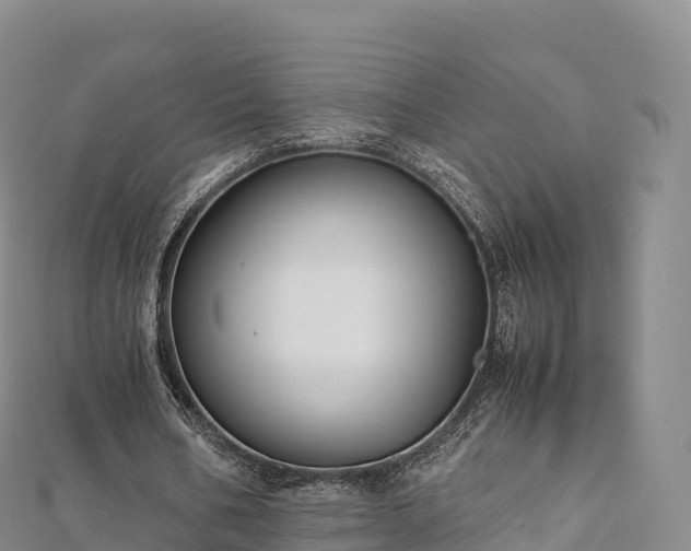 X0000110730578200906191528