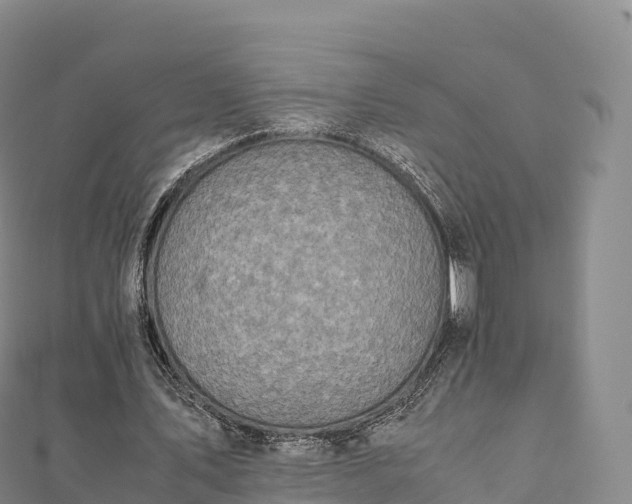 X0000110730579200906191528