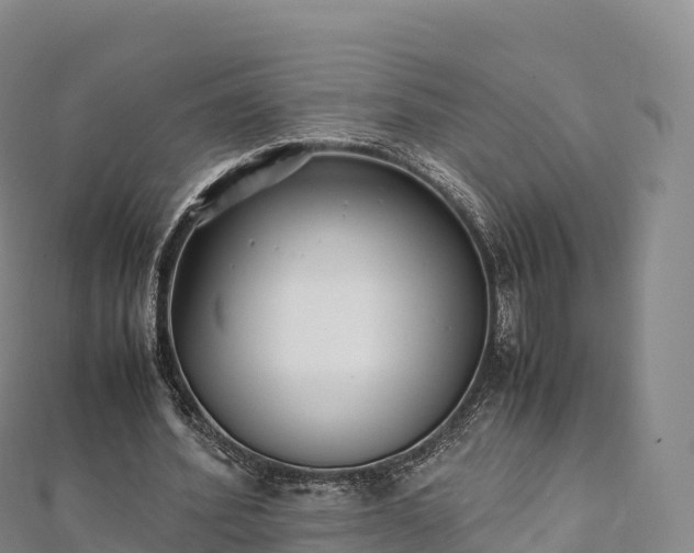 X0000110730580200906191528