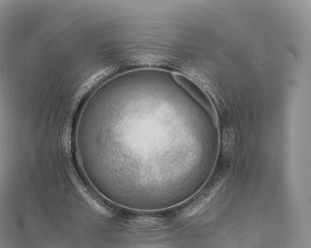 X0000110730581200906191527