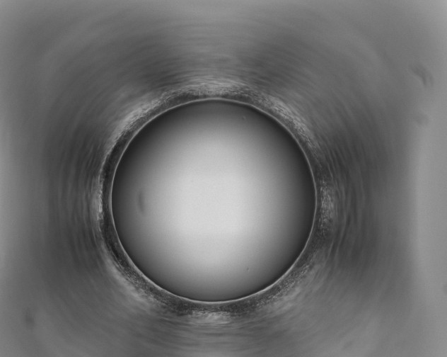 X0000110730582200906191527