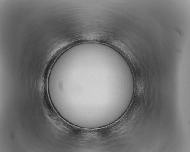 X0000110730583200906191527