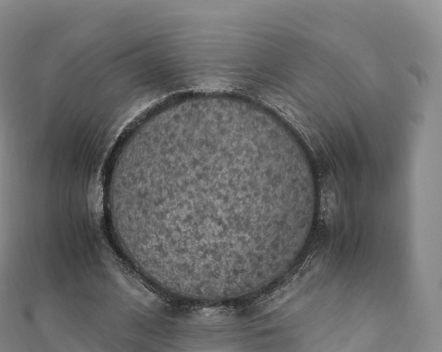 X0000110730584200906191527