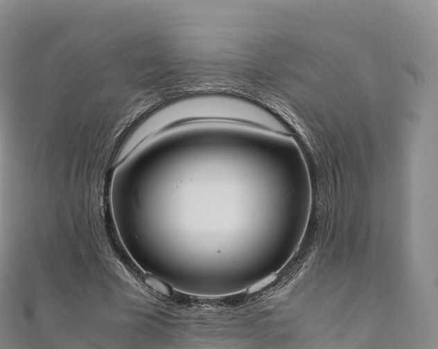 X0000110730585200906191527