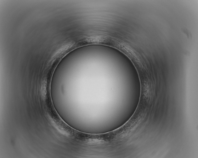 X0000110730586200906191527