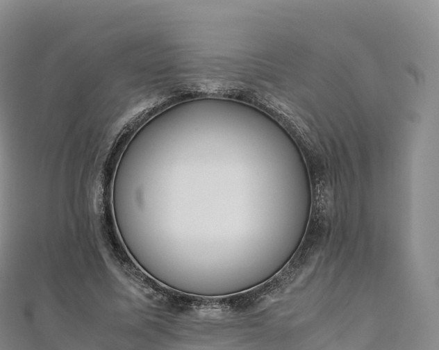 X0000110730587200906191527