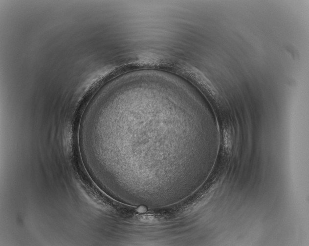 X0000110730588200906191527