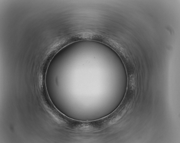 X0000110730589200906191527