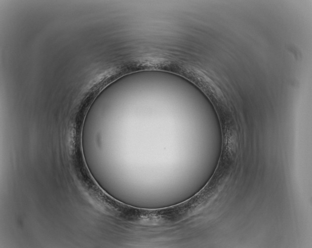 X0000110730591200906191527