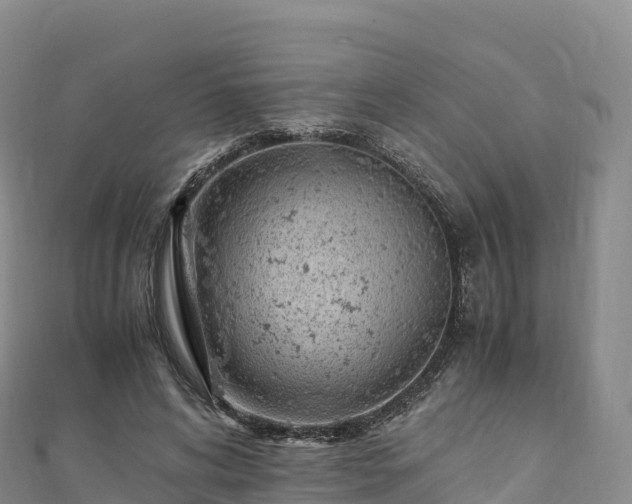 X0000110730592200906191527