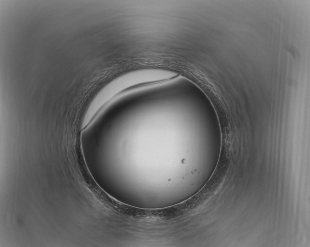 X0000110730593200906191527