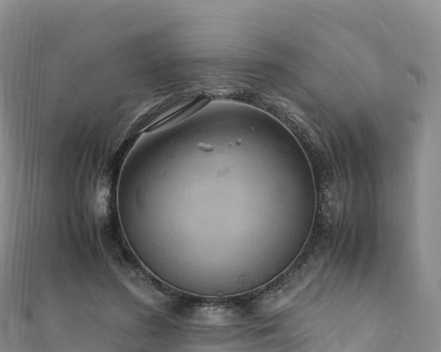 X0000110730596200906191527