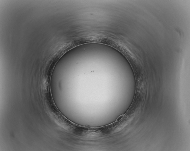 X0000110730597200906191527