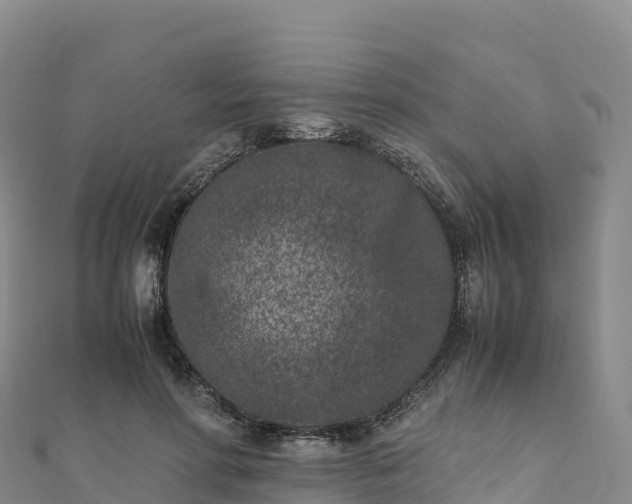 X0000110730598200906191527