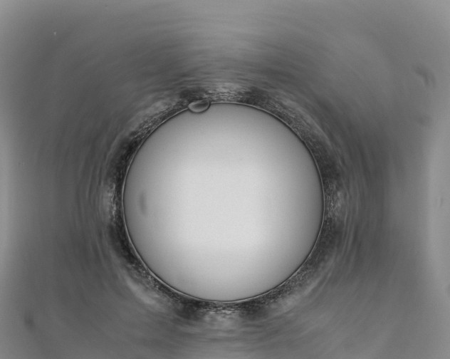 X0000110730599200906191527