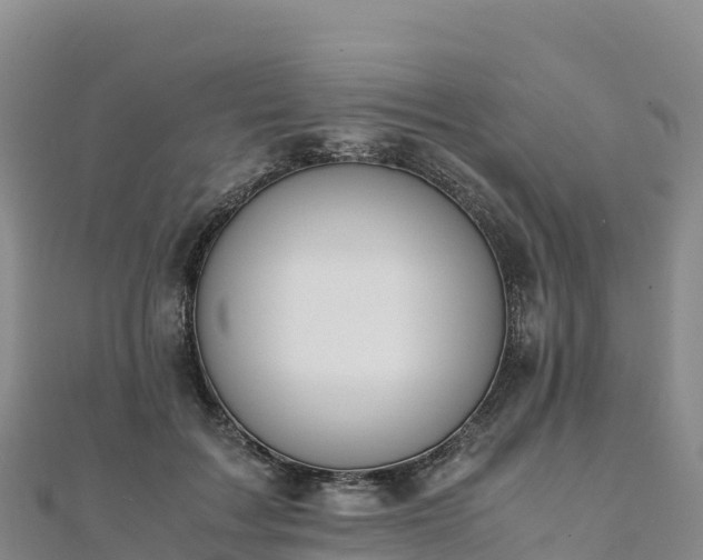 X0000110730603200906191527