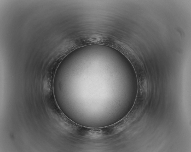 X0000110730606200906191527