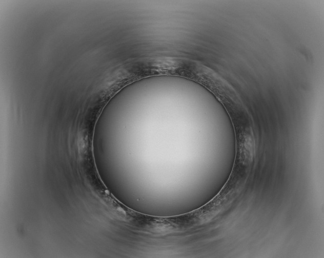 X0000110730608200906191527